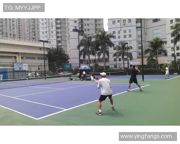 深圳网球队在城市联赛中的战术表现分析与点评