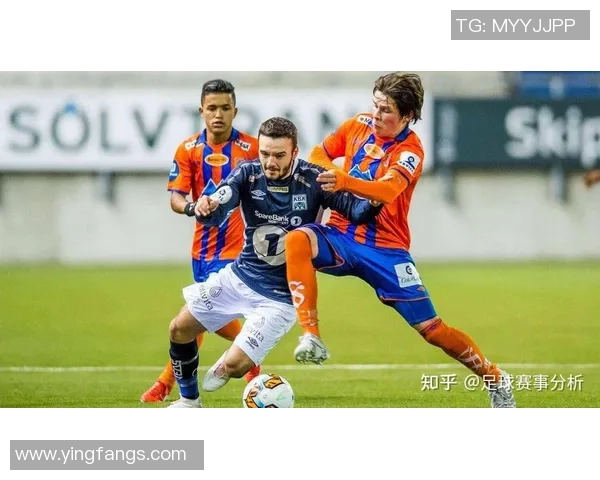 成都排球队战术解析与发展策略探讨助力球队提升竞技水平