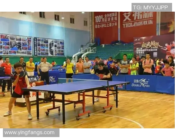 杭州乒乓球队战术创新引领潮流最新乒乓球战术TOP10全面解析