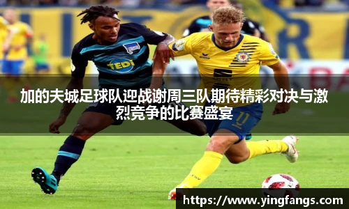 彩神vII官网